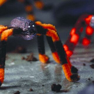 peanut and pipe cleaner spiders