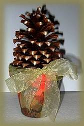 pine cone topiary