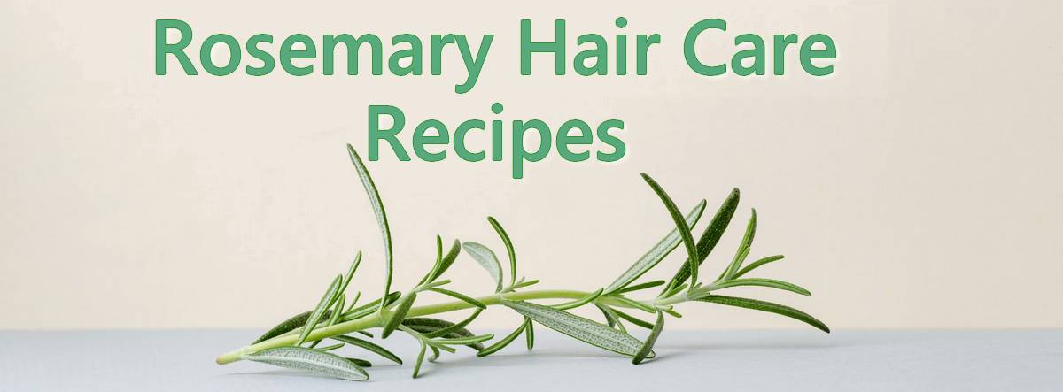 rosemary hair care recipes