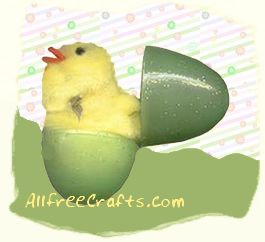 hatching pompom chick