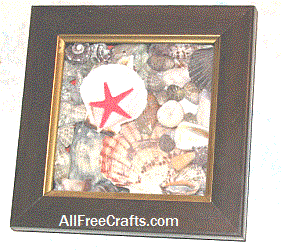 seashell shadow box