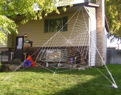 clothesline spider web