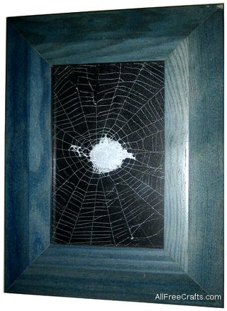 mounted and framed spider web