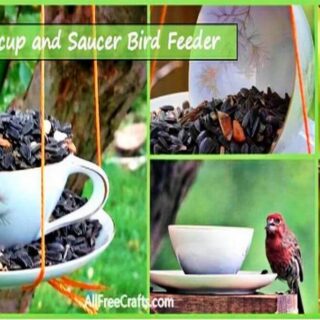 easy cup and saucer bird feeder