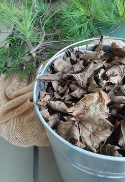 fresh evergreens beside a galvanized bucket of leaves