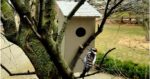 bird house with a recycled bread clip tiled roof