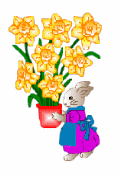 bundaffs (7K)